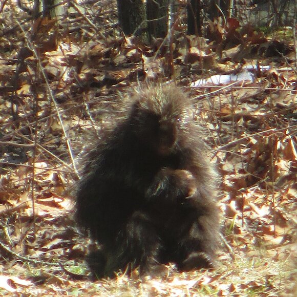 Meet CB Auder - Picture 4 of 5